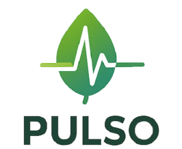 logo pulso solo