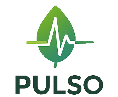 logo pulso solo